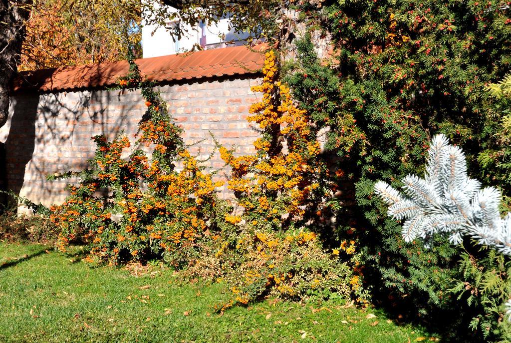 Ametiszt Hotel Harkány Dış mekan fotoğraf